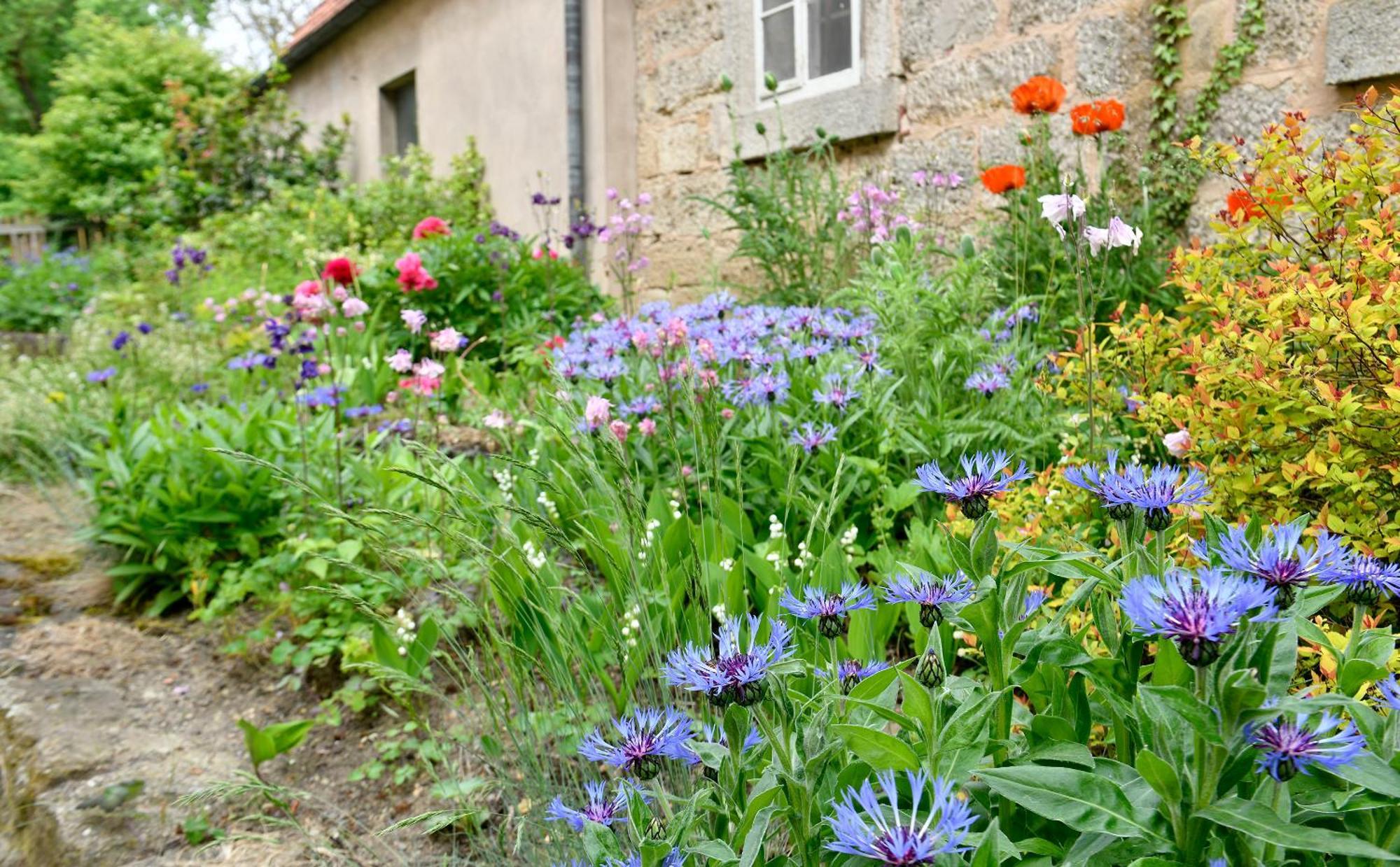 Landhotel Schwarzes Ross Rothenburg ob der Tauber Bilik gambar